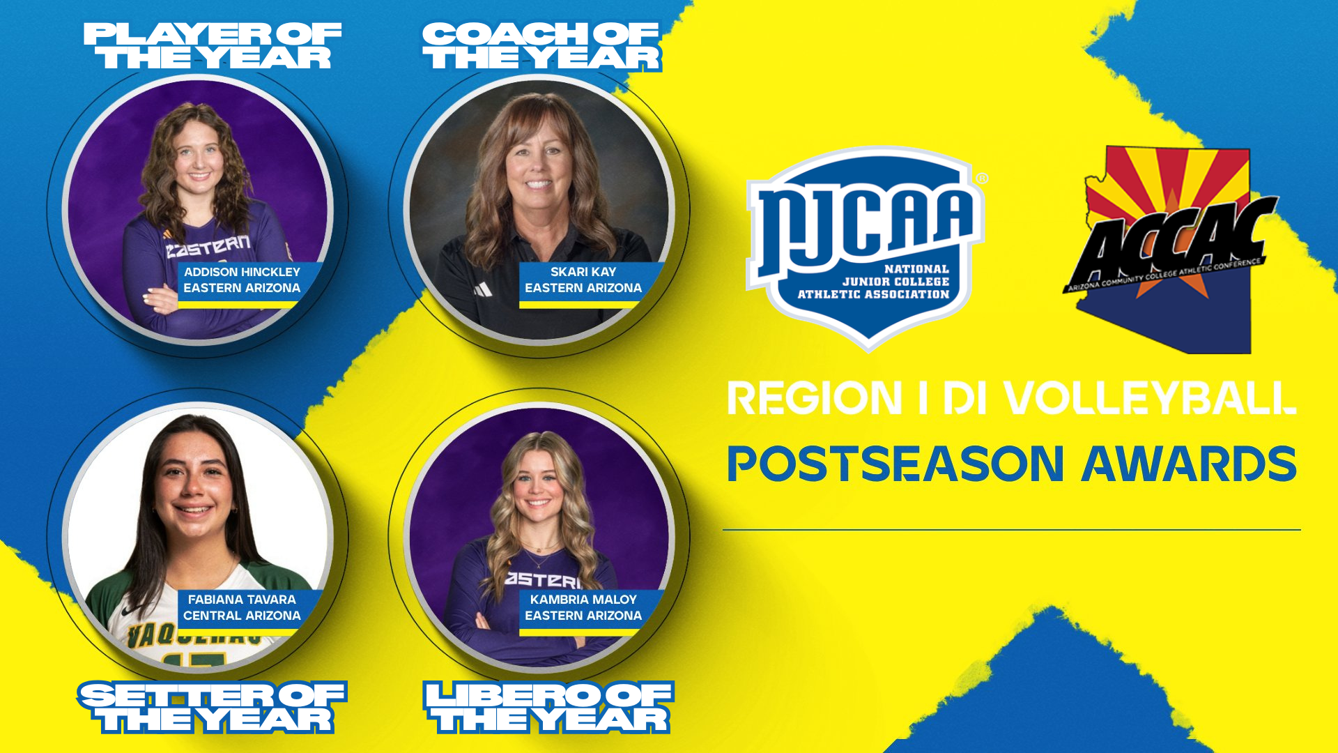 Region I DI Volleyball Postseason awards